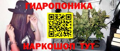 ECSTASY Краснокаменск
