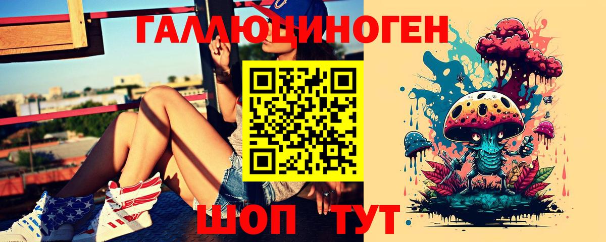 Шатура  Псилоцибиновые грибы Psilocybe  Вход с VPN  Псилоцибиновые грибы ЛСД 